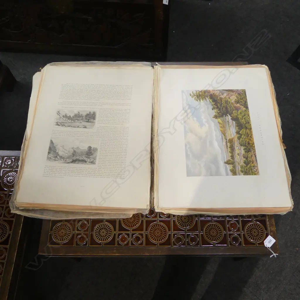 BARRAUD 'NZ GRAPHIC AND DESCRIPTIVE', SAMPSON LOW... 1877, INCOMPLETE: 21 0F 24 COLOUR LITHOS, 570 x 440mm Image 1++