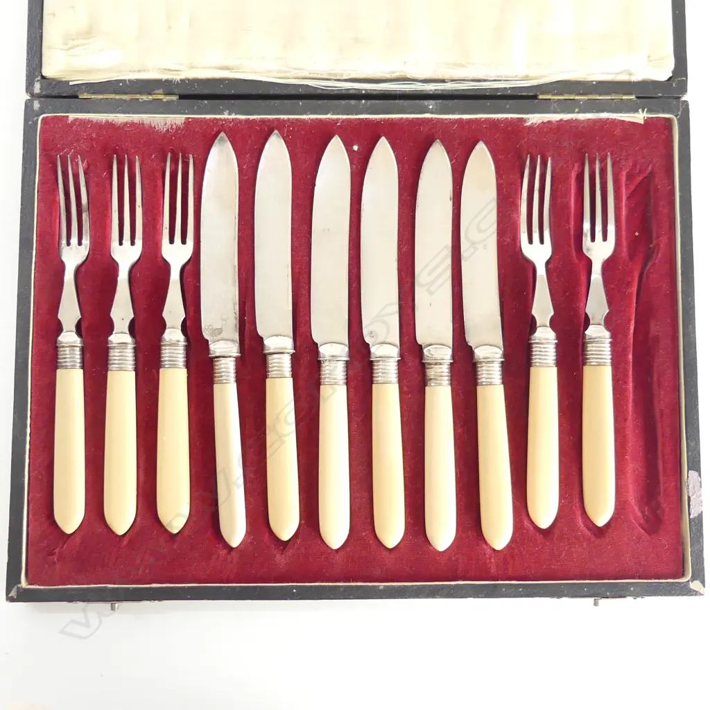 ANTIQUE IVORINE HANDLED CUTLERY, CASED (1 FORK MISSING) Image 1++