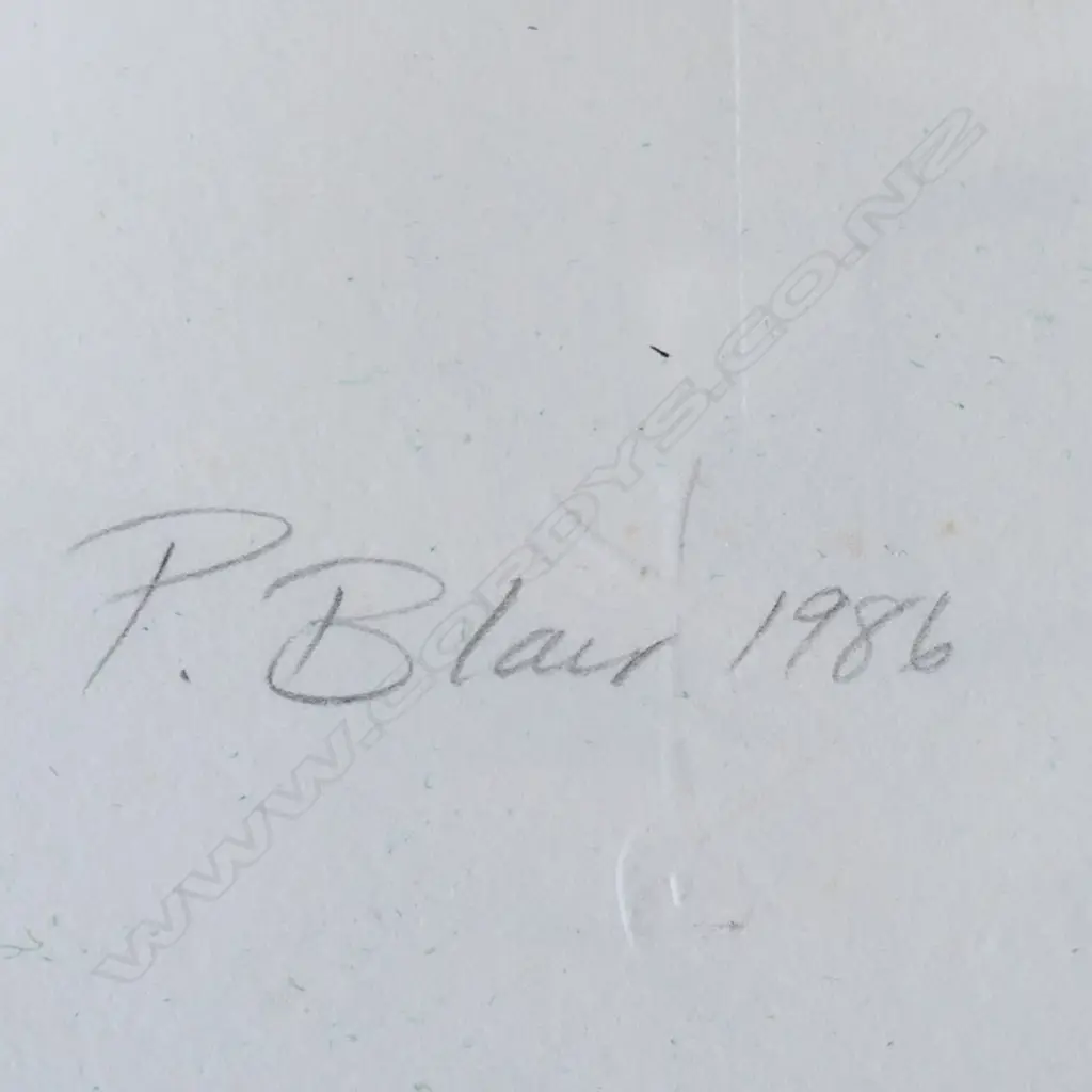PHILLIPA BLAIR 'TREE HEART', SCREENPRINT 10/13, signed & dated 1986. 400 x 280mm, CONTEMP FRAME W PERSPEX Image 1++