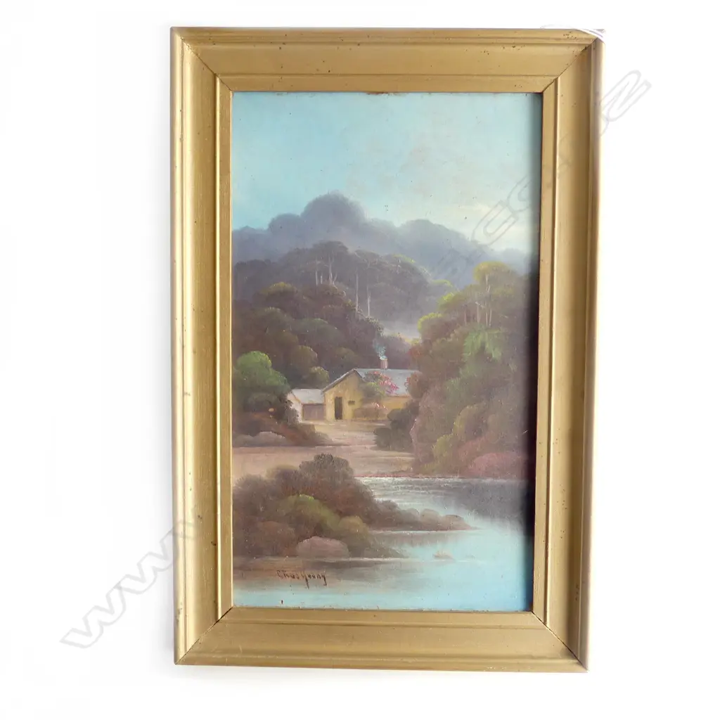 CHAS YOUNG OIL ON PANEL NZ COLONIAL BUSH COTTAGE signed 325 x 190mm Image 1++