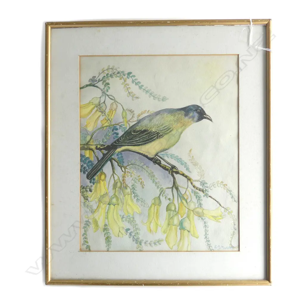 B.M. MALLETT W/C 'BIRD IN KOWHAI TREE' Image 1++