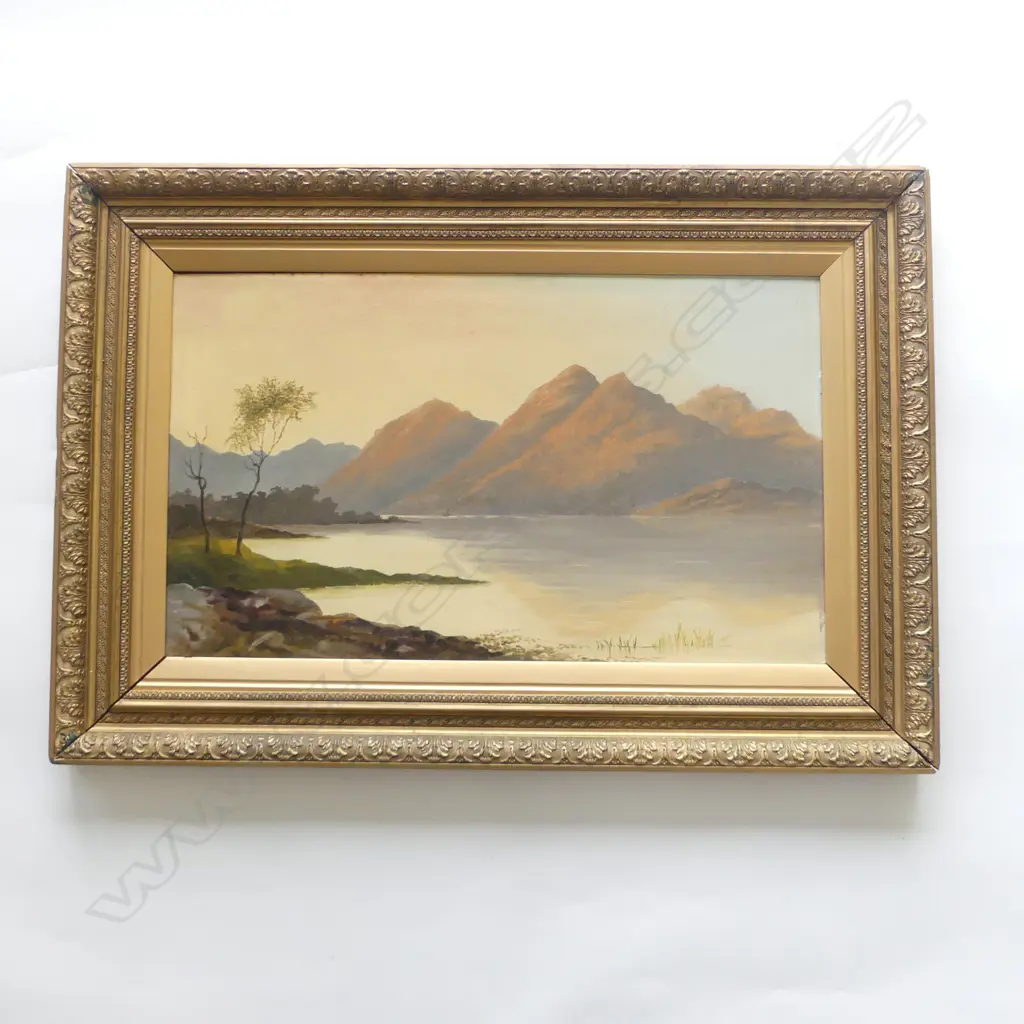 COLONIAL ARTIST UNKNOWN OIL ON CANVAS STH IS LAKE & MOUNTAIN SCENE 370 X 620mm GILT FRAMED Image 1++