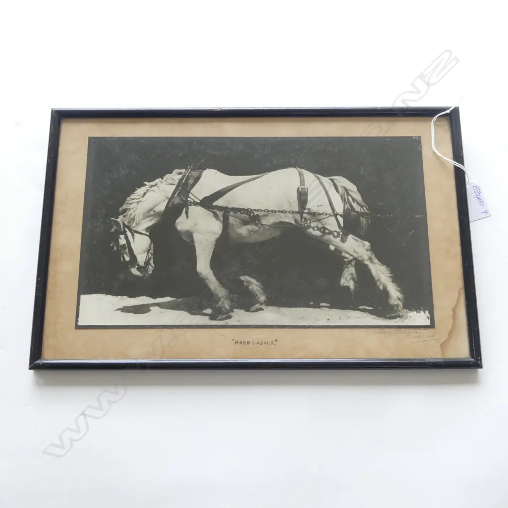 VINTAGE PHOTOGRAPHIC PRINT 'HARD LABOUR' SIGNED NELSON STEDMAN AUCKLAND 165 X 290mm Image 1++