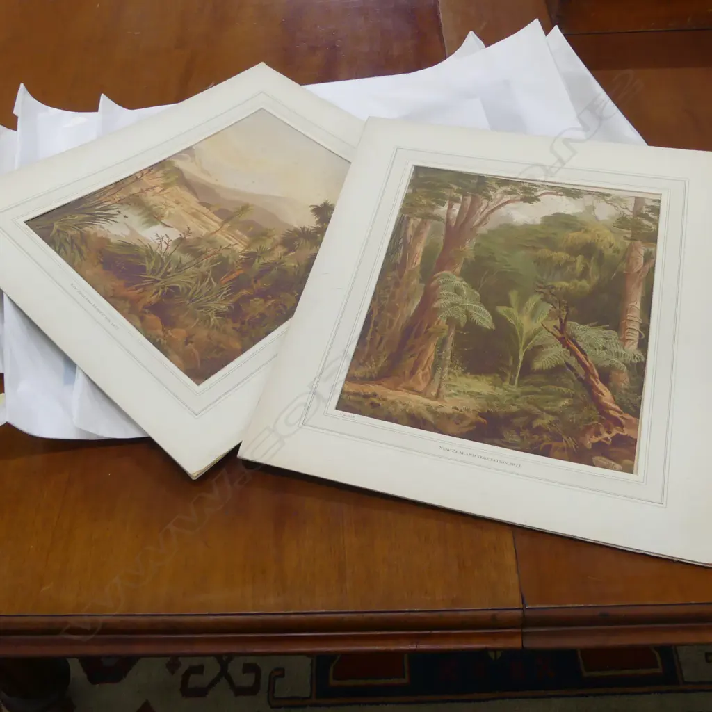 FOLIO OF EARLY NZ UNFRAMED PRINTS J GULLY ETC Image 1++