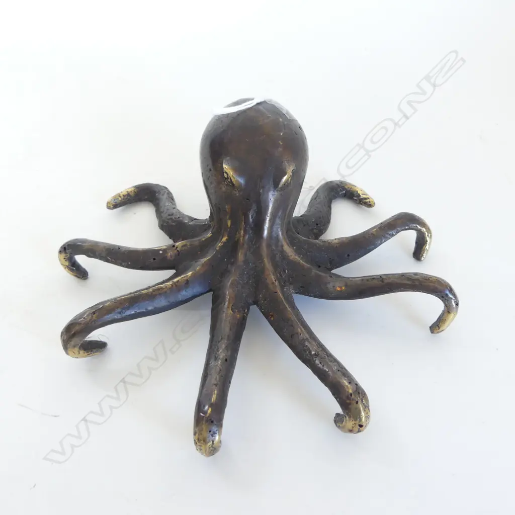 BRONZE OCTOPUS 190mm dia Image 1++