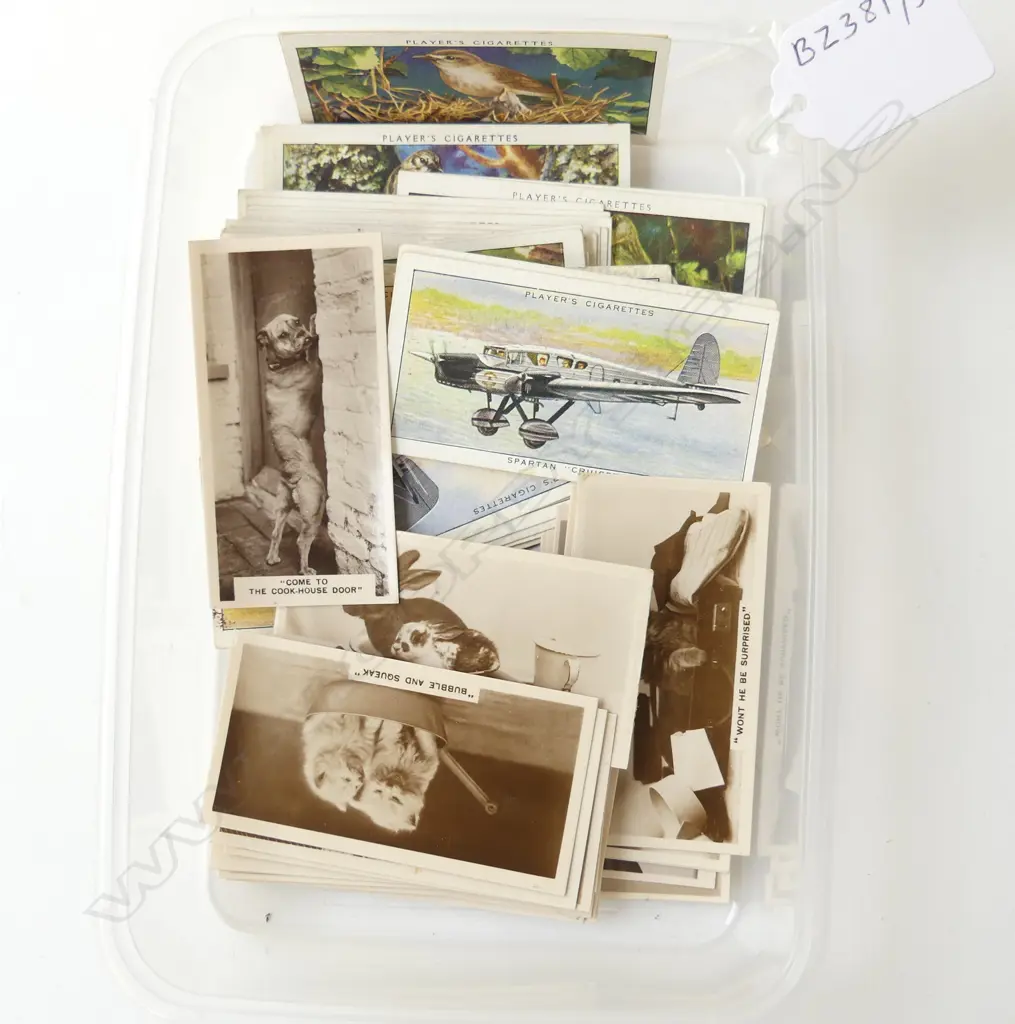 90 CIGARETTE CARDS – 33 AREOPLANES, 33 BIRDS, 24 ANIMALS Image 1++