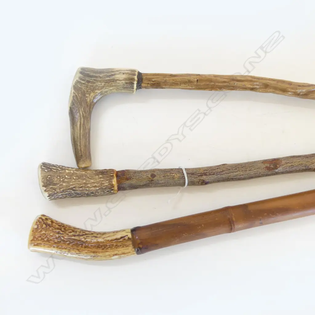 THREE HORN GRIPPED WALKING STICKS, ONE BAMBOO STAFF OTHERS BRANCH STAFF. Image 1++