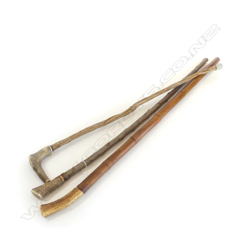 THREE HORN GRIPPED WALKING STICKS, ONE BAMBOO STAFF OTHERS BRANCH STAFF. Image 1++