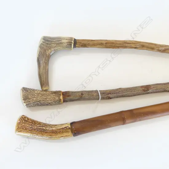 THREE HORN GRIPPED WALKING STICKS, ONE BAMBOO STAFF OTHERS BRANCH STAFF.
