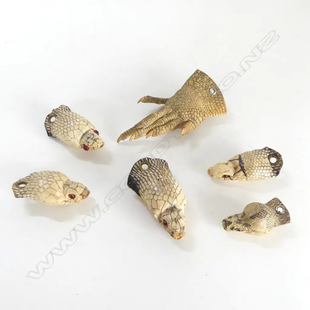 SMALL COLLECTION OF TAXIDERMIED  5 SNAKES HEADS & A LIZARDS FOOT Image 1++