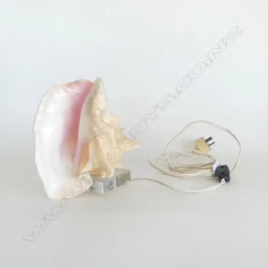 SHELL LAMP ON PERSPEX BASE. H.200mm