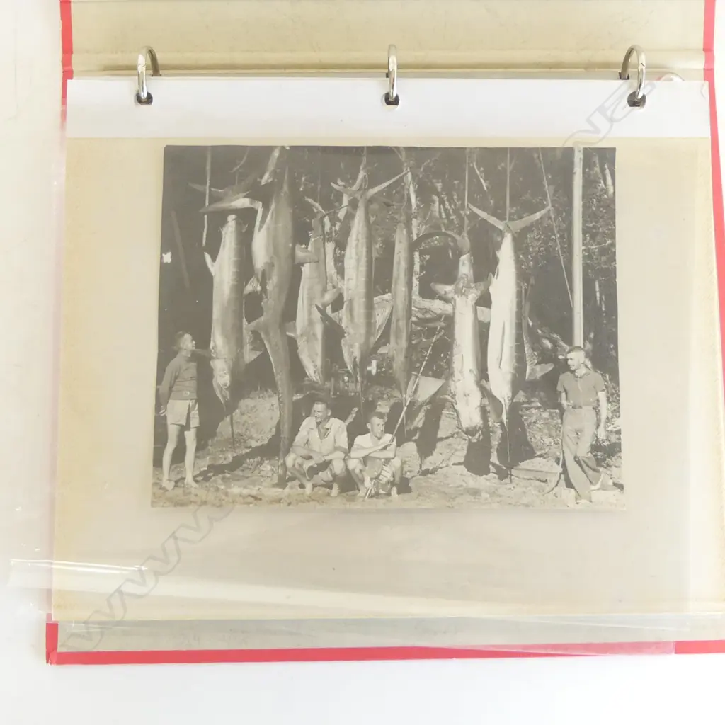 ALBUM OF 13 LARGE FORMAT B&W PHOTOGRAPHS, GAMING, FISHING ETC (MAJOR ISLAND) Largest: 200 x 250mm Image 1++