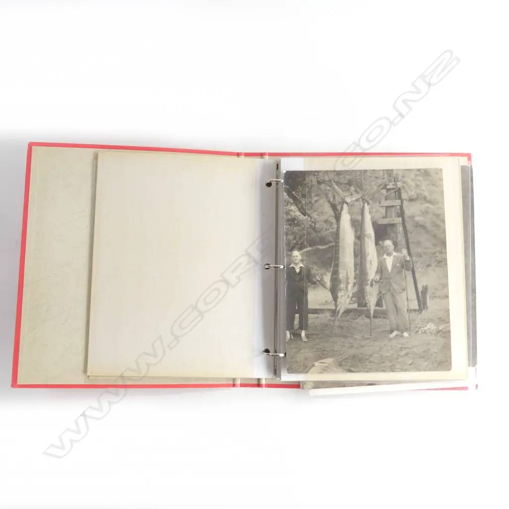ALBUM OF 13 LARGE FORMAT B&W PHOTOGRAPHS, GAMING, FISHING ETC (MAJOR ISLAND) Largest: 200 x 250mm Image 1++