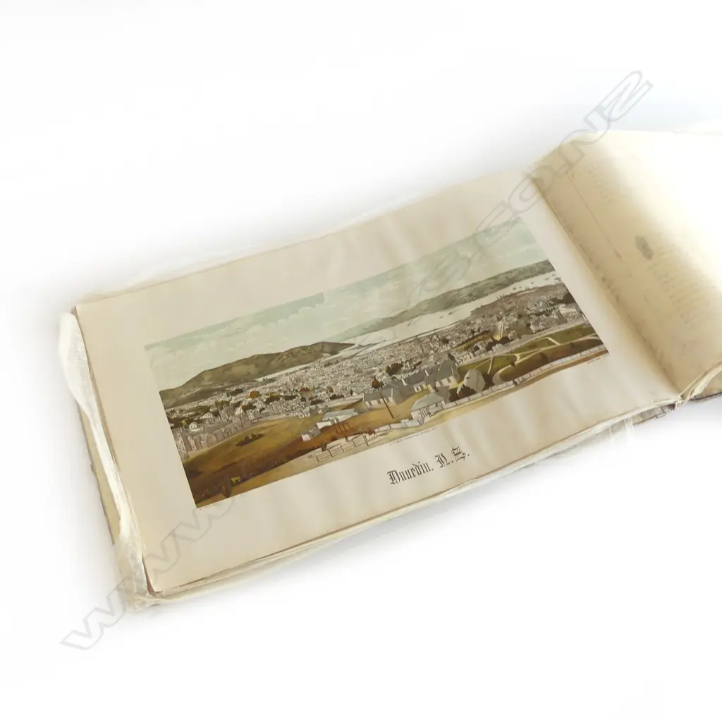 NZ ILLUSTRATED BOOK1889  H290 L480MM Image 1++