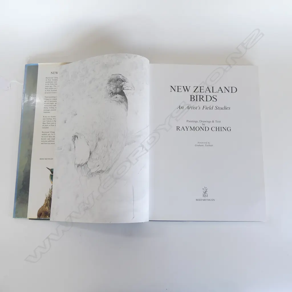 BOOK; RAYMOND CHING NZ BIRDS 365x275mm Image 1++