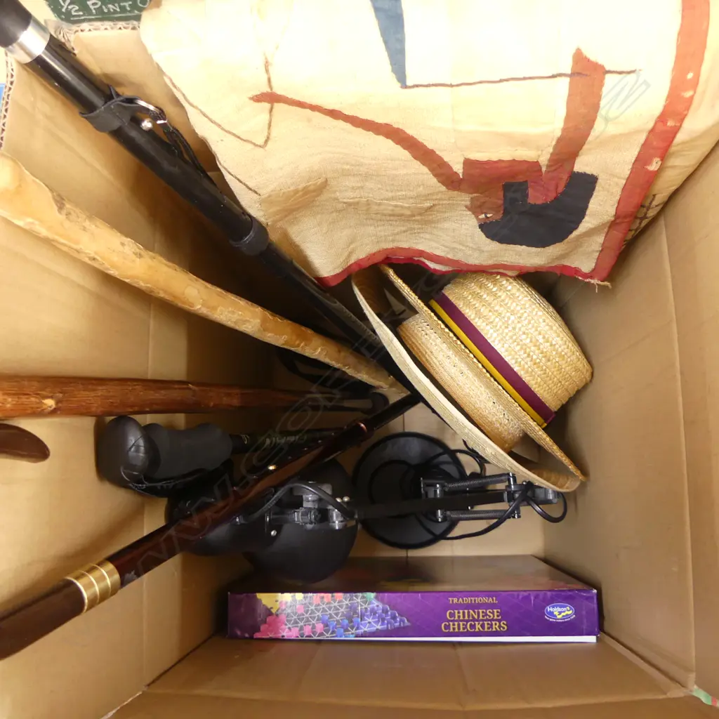 BOX LOT WALKING STICKS 2 HATS LAMP ETC Image 1++