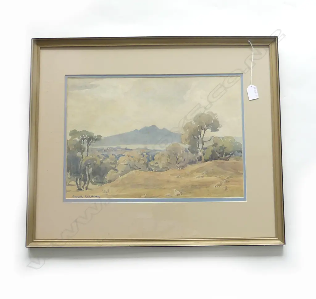 GWYNETH RICHARDSON, (RANGITOTO) 'FROM CORNWALL PARK' WC 300x435mm Image 1++