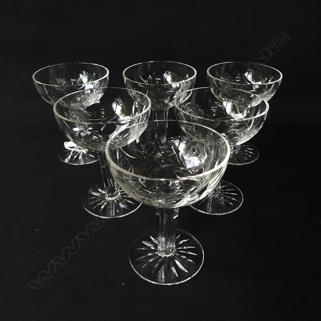 6 CRYSTAL HOLLOW STEM CHAMPAGNE GLASSES H.115mm Image 1++