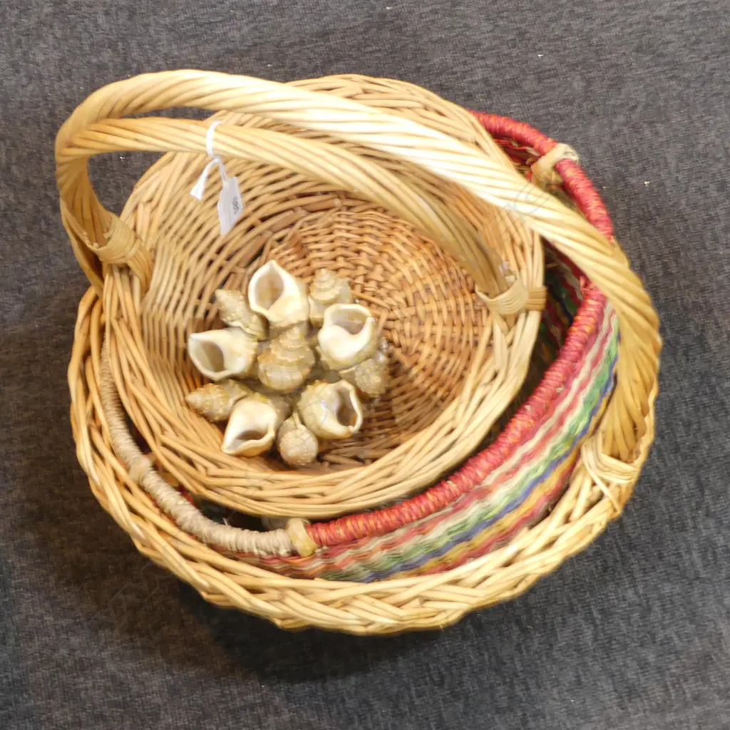 3 WOVEN BASKETS + SHELL DECOR 150mm dia Image 1++