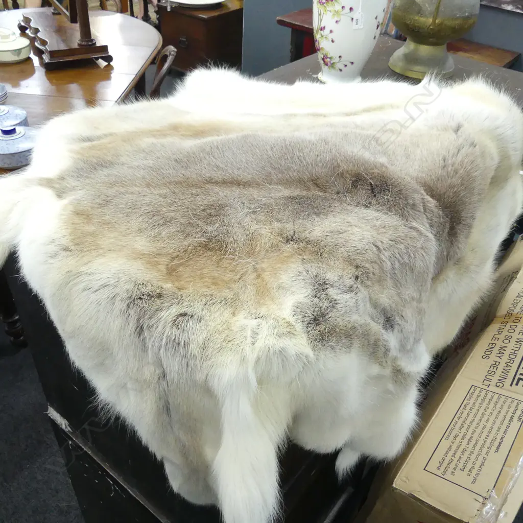 REINDEER HIDE RUG 1300x950mm - SHEDDING Image 1++