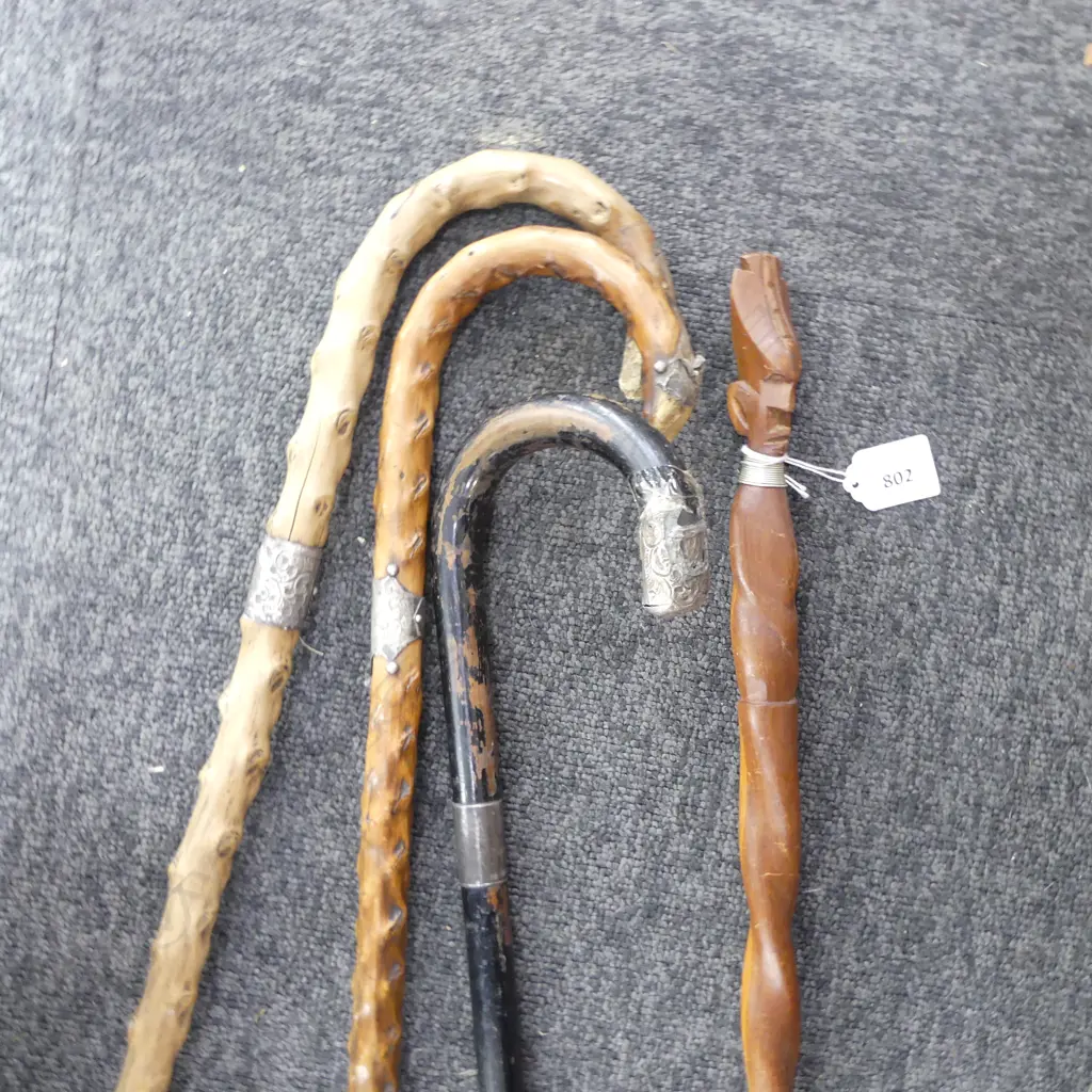 4 WALKING STICKS, 3 w. STG TRIM L.900mm Image 1++
