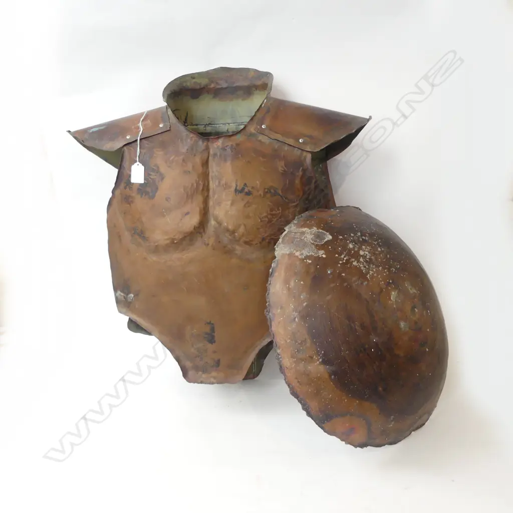 METAL TORSO ARMOUR & SHIELD 450mm dia  Image 1++