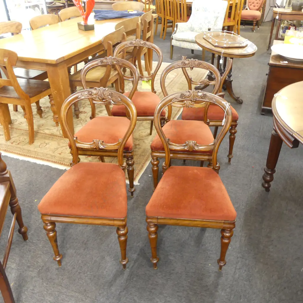 6 VICTORIAN BALLOON BACK CHAIRS (2 BROKEN) Image 1++