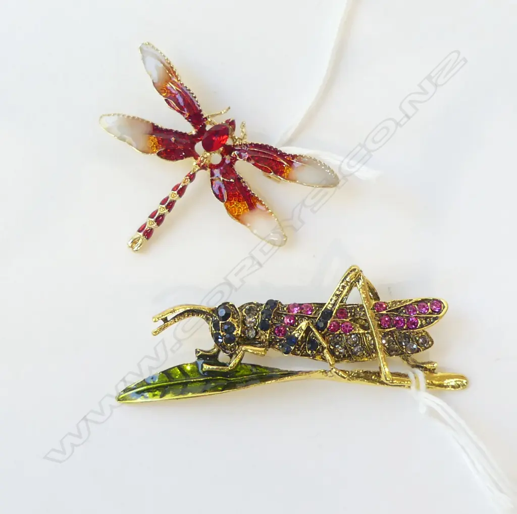 2 COSTUME BROOCHES, BLK/GRN/PINK DIAMANTE GRASSHOPPER & DELICATE RED/WHT DRAGONFLY Image 1++
