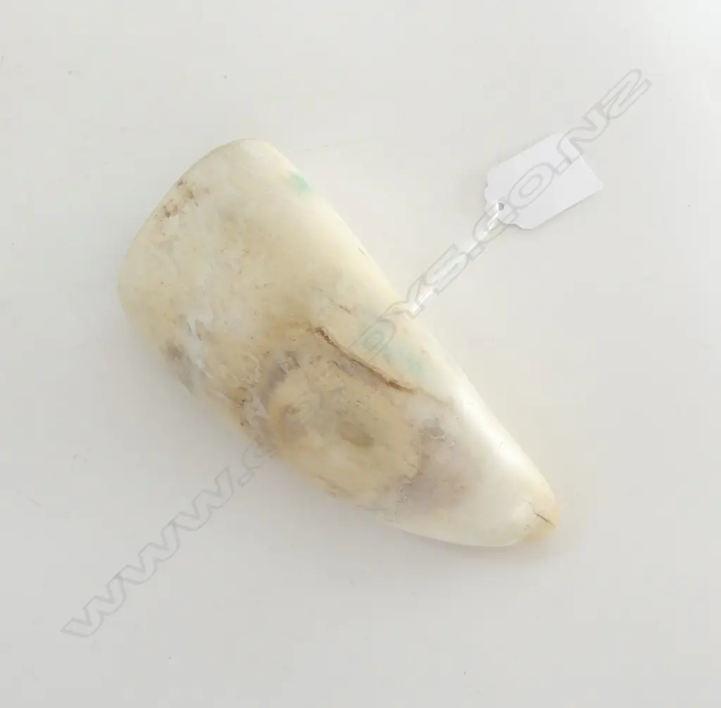 OLD WHALES TOOTH H.145mm Image 1++