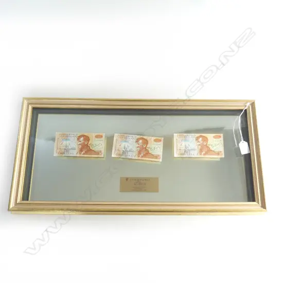 3 NZ $5 BANKNOTES SIGNED BY ED. HILARY gilt framed w mirror background