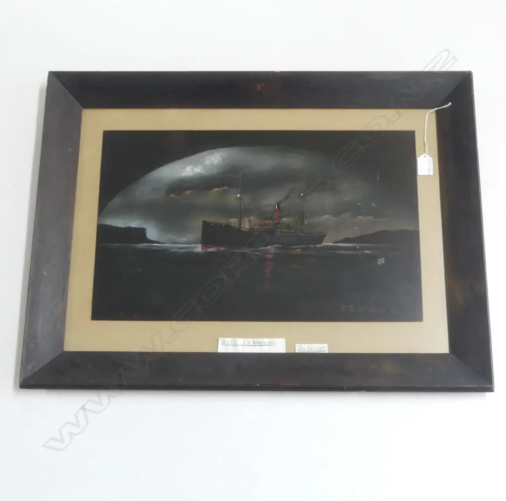 OIL PAINTING ON VELVET SIGNED - SS WAITOMO under moonlight 510 X 310MM Image 1++