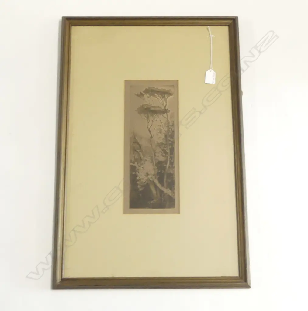 TREVOR LLOYD, CLEMATIS, ETCHING, 320 x 130mm Image 1++