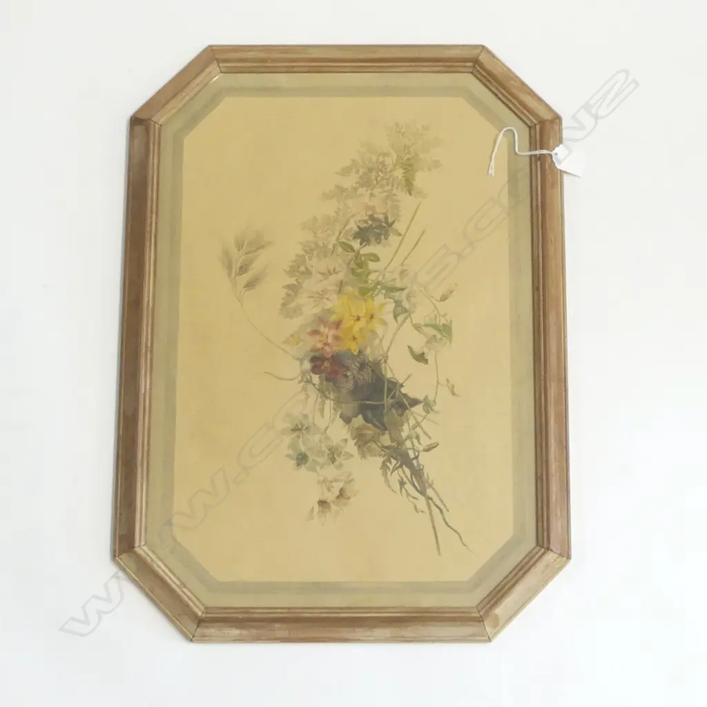 c1900 ARTIST UNKNOWN ink & watercolour WILD FLOWERS 450 x 300mm Image 1++