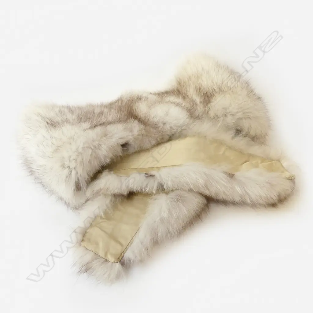 ARCTIC FOX COLLAR Image 1++