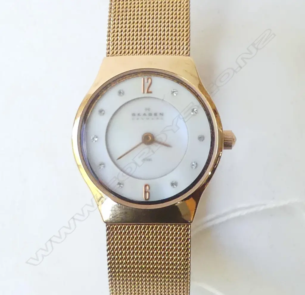 SKAGEN DANISH LADYS WRISTWATCH Image 1++