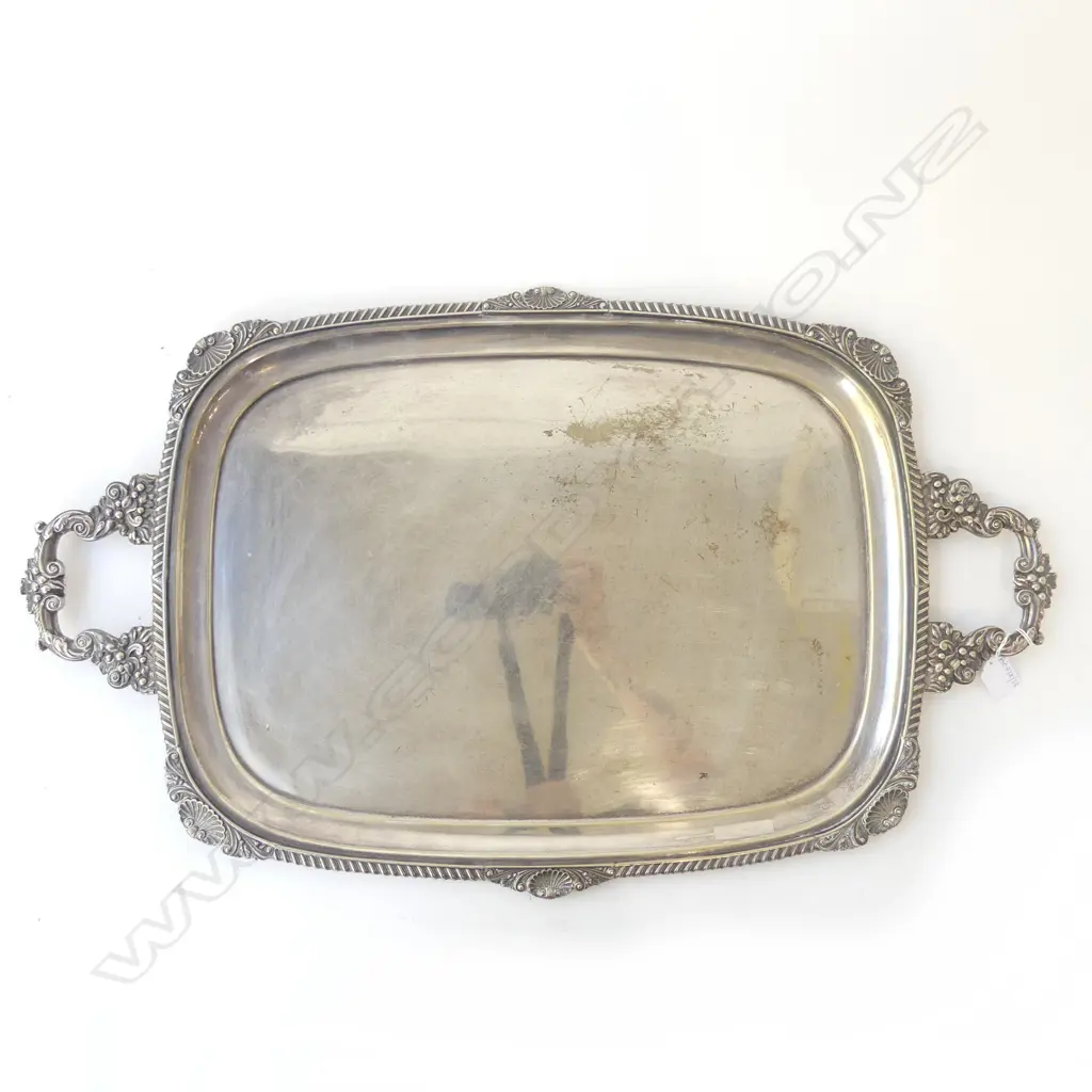 LG EP TRAY 745x440mm Image 1++