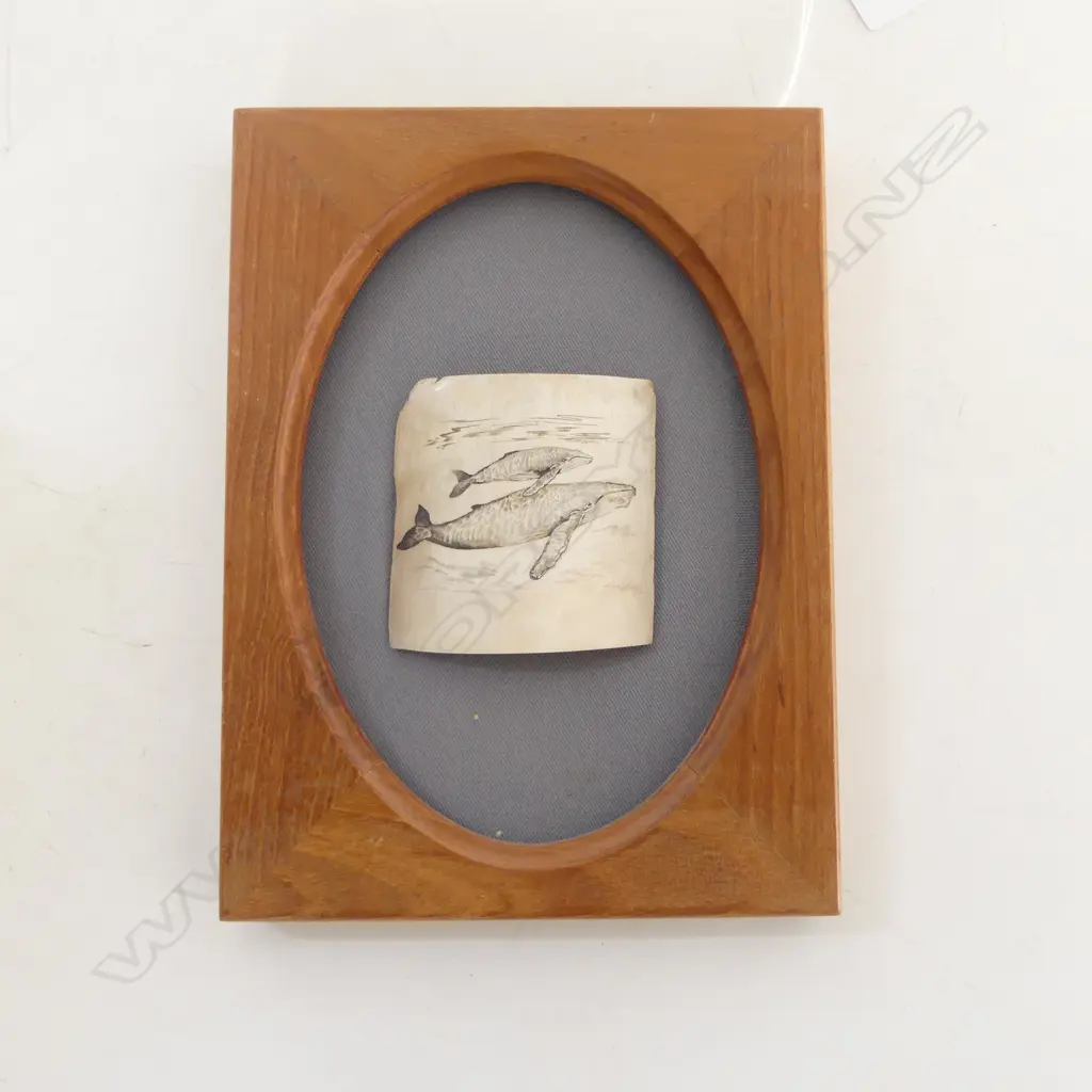 FRAMED MAMMOTH IVORY SCRIMSHAW, WHALES, HAWAIIAN CRAFTED, H.70mm Image 1++