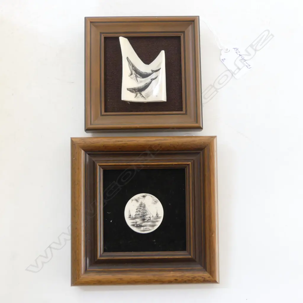 2 FRAMED MARINE IVORY SCRIMSHAW, WHALES, H.70 x 40mm, SAILING SHIP, DIA35mm, HAWAIIAN CRAFTED Image 1++