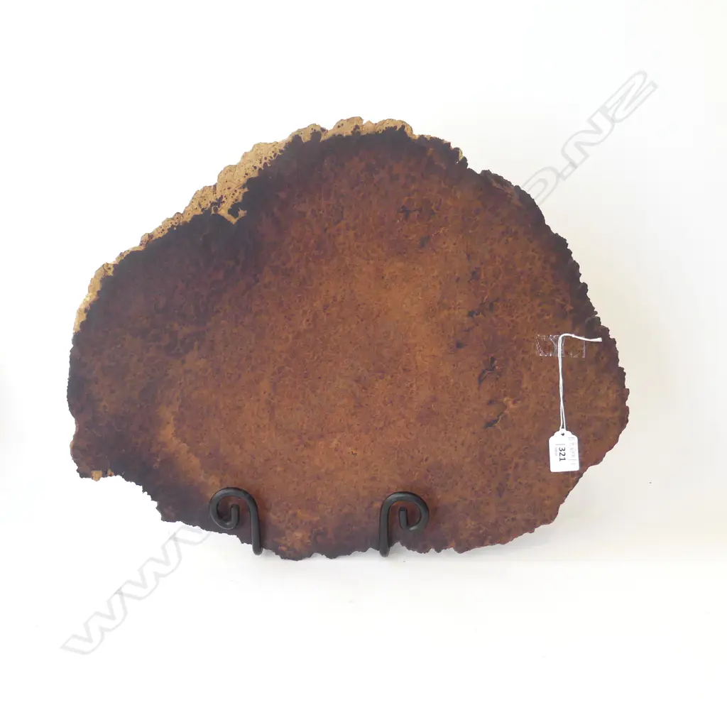 LG CHINESE BURR WOOD PCE 390x490mm Image 1++