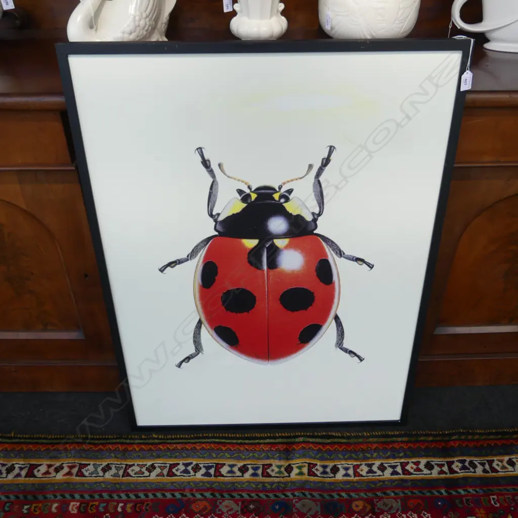 LG LADYBUG PRINT 990x735mm Image 1++