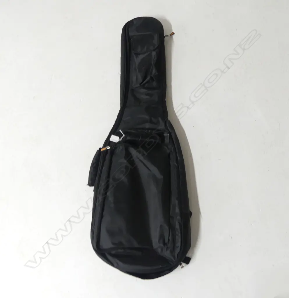 FRANKEN STEIN-O-CASTER ELECTRIC GUITAR WITH SOFT CASE Image 1++