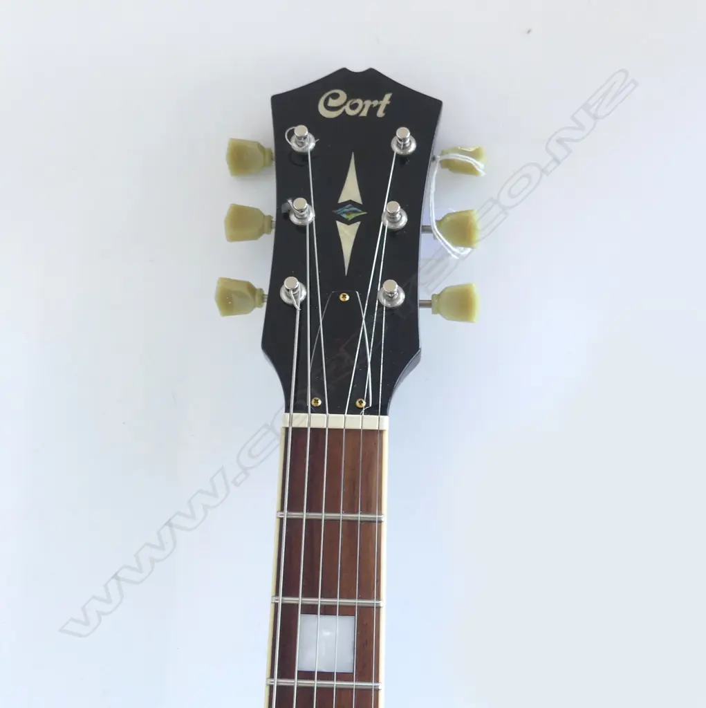 CORT CR200 LES PAUL ELECTRIC GUITAR WITH SOFT CASE Image 1++