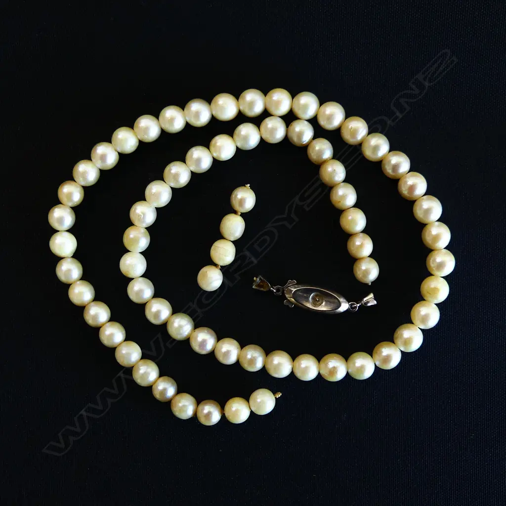 PEARL NECKLACE w. 14ct CLASP - REQUIRES RESTRINGING w. CASE with CERTIFICATE presumably for this necklace Image 1++