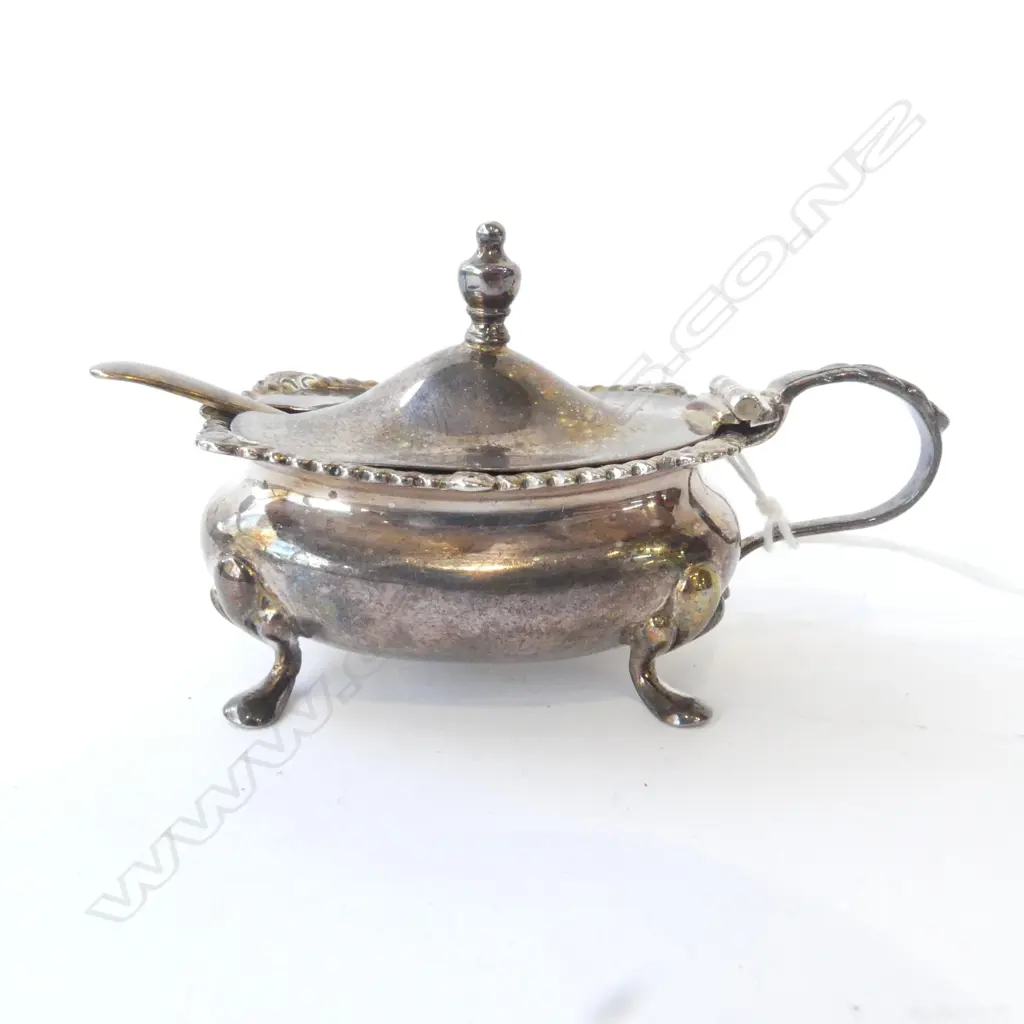 S/SILVER MUSTARD POT & SPOON 48G Image 1++