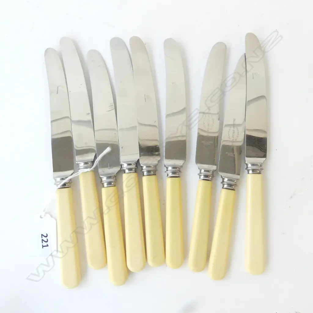 TEN VINTAGE SHEFFIELD ‘BONE’ HANDLE KNIVES, L.210mm Image 1++