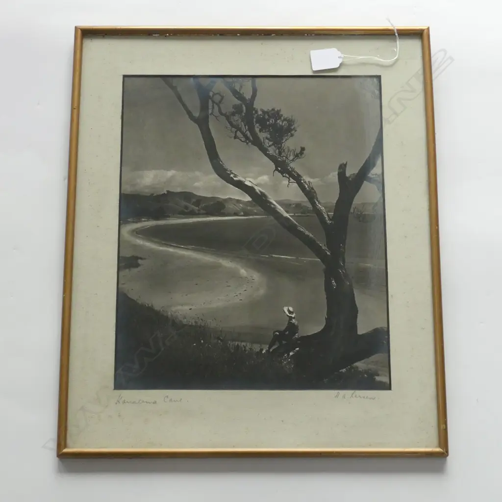 VINTAGE PHOTO PRINT, 'KUAOTUNU BEACH' (COROMANDEL) 350x285mm  Image 1++