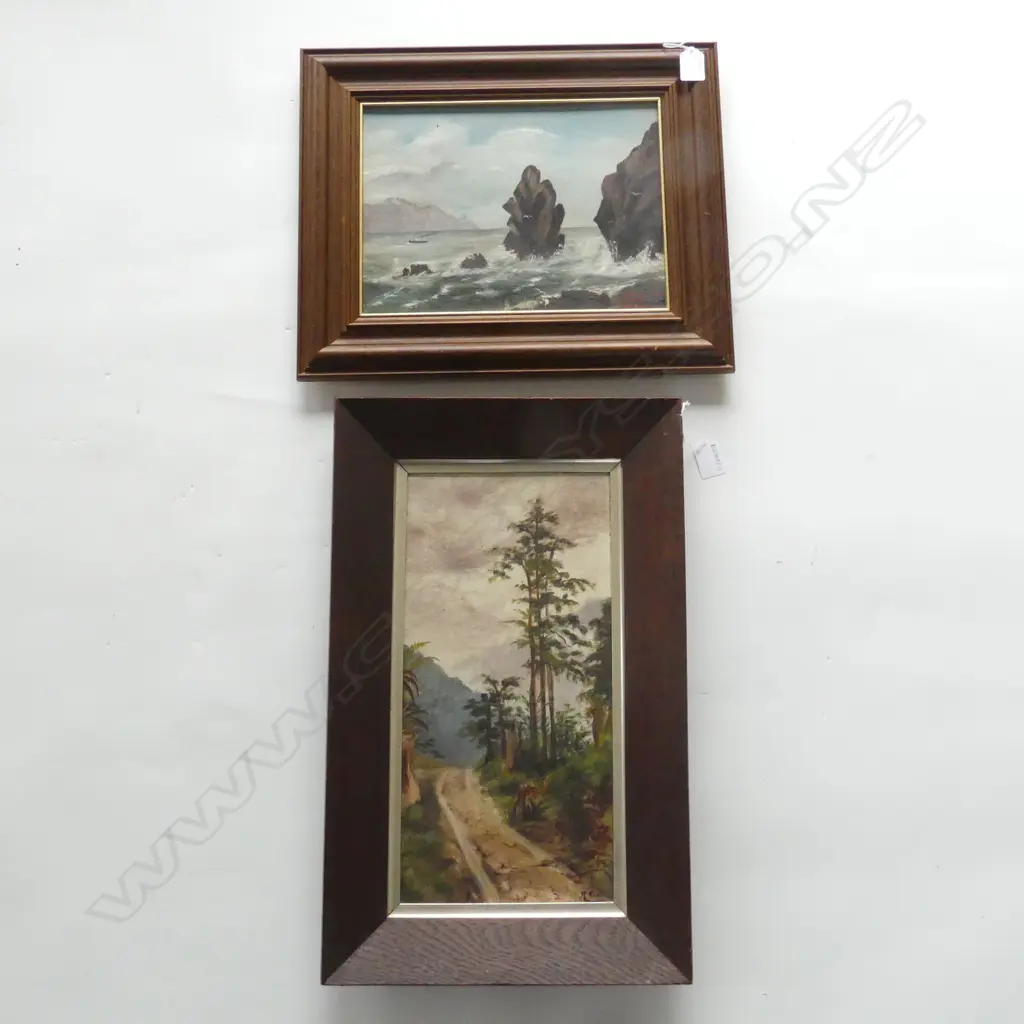 2 COLONIAL OIL ON CANVAS LANDSCAPES; R. FRASER BUSH SCENE, 395x190mm, M. A. HOWARD 'PINNACLE ROCK, W. HEADS' 220x295mm  Image 1++
