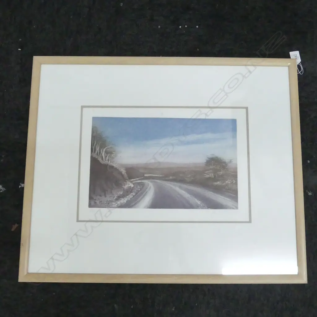JUNE RICHIE 'TUROA DOWNHILL' ETCHING 13/50 1985 270x400mm Image 1++