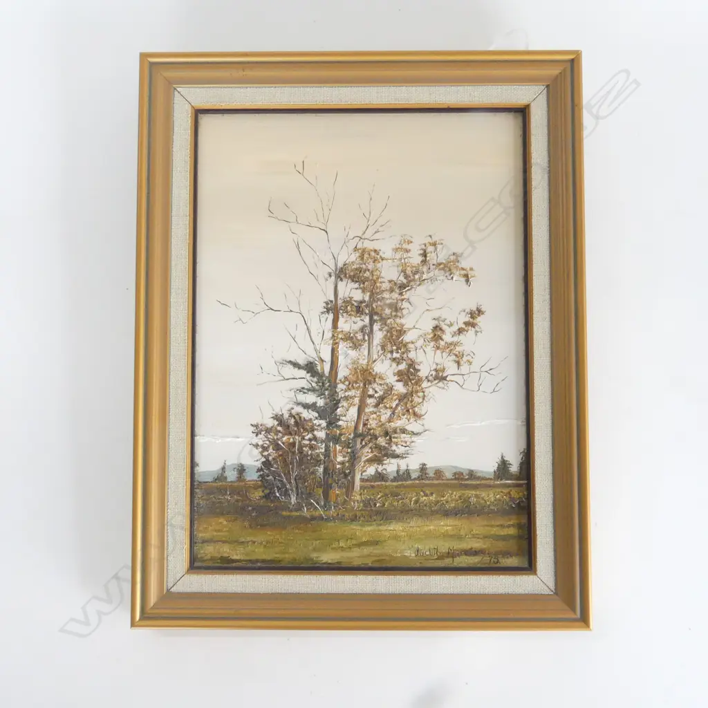 (25429) JUDITH MORETON OIL 'NEAR TE AROHA WEST II' 1975 265 X 190mm Image 1++