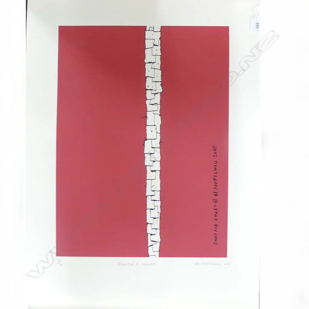 MARTIN POPPELWELL 'STUDY FOR A SHAFT' SCREENPRINT 2008, 3/20 495x700mm UNFRAMED Image 1++